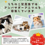 うちのこ写真集アンバサダー募集
